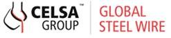 CELSAGroup.jpg