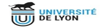 UniversidadLyon.jpg